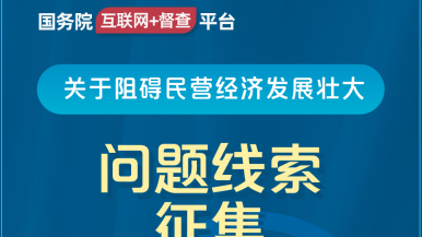 色亚洲大鸡吧视频国务院“互联网+督查”平台公开征集阻碍民营经济发展壮大问题线索